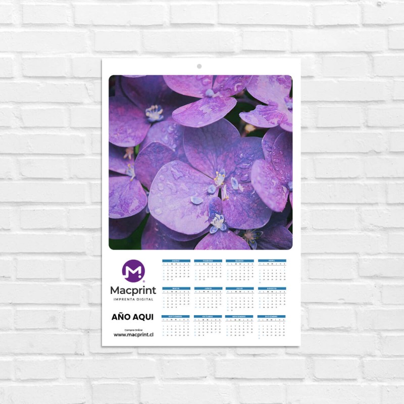 Calendario de Pared